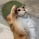 willdo