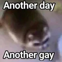 M_welcomeyouregaytho