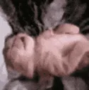 sleeping