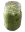 g_matcha