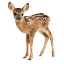 emoji_254