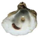 emoji_255
