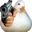pq_isnotforyou pq_isnotforyou