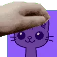 pyoidpat