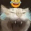 emoji_41