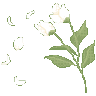 FlowersAndPetals