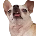 __