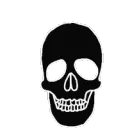 4386skull2