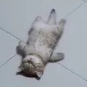 sad