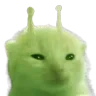 ayycatte