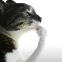 hmm