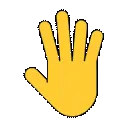 r_spinningmiddlefinger