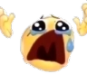 whatnoway Discord Emoji | Talk Pakistan