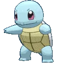 67249shinysquirtle