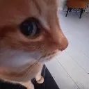 sideeye