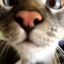 obobba