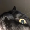 eclipseWOT
