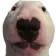 walterdog