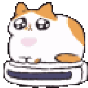 zp_catroombaexceptionallyfast