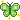 004_greenbutterfly