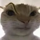 bobbyhuh