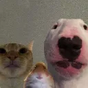 bruh