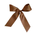 brown_ribbon