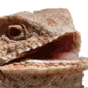 zl_y_hehe