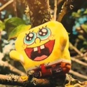 :bob:
