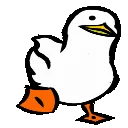 zj_duckgoing