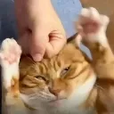 catbonk