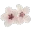 b_flowers
