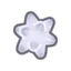 ariesstarfragment