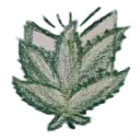 CannawikiLogo