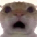 O_