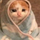 A small orange and white cat with teary, sad eyes wrapped tightly in a blue and white patterned blanket.
