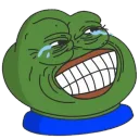 IMG_5937removebgpreview3