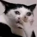 11914d7b62af233c3e5ebbad969d4bc8