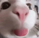 emoji_6
