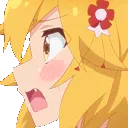 SenkoPounded