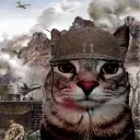 war_cat