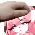 jaidpat jaidpat