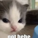 not_hehe