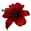 1a_redflower
