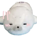 sealembarassed