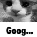 goog