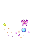 pi_spin