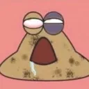 pou