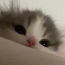 emoji_25