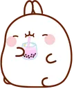 molang_bobatea